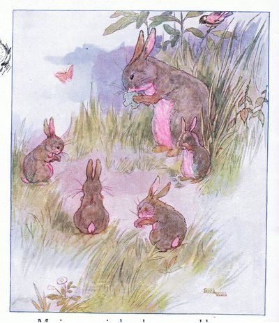 Ma est si particulière - Anne Anderson